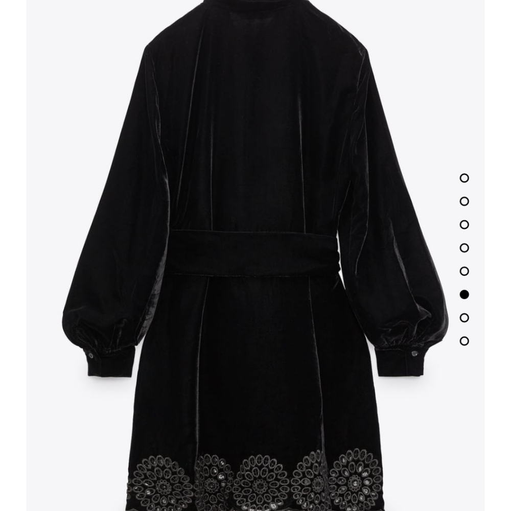 Zara dress Velvet - Picture 4 of 7